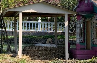 Птичьи ясли: в парке “Южные культуры” ждут пополнения