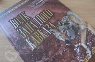 В Кавказском заповеднике издана монография “Волк Западного Кавказа”