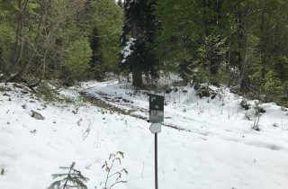 В Южном отделе Кавказского заповедника приводят в порядок тропы после зимы