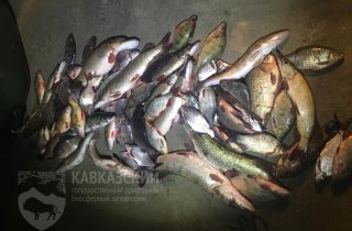 Двух браконьеров задержали ночью в Приазовском заказнике