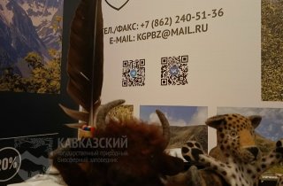 День волонтера в Зимнем театре