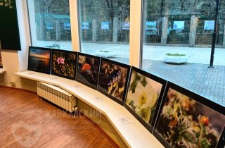 Выставка фотографий проекта "Первосвет" Командорского национального парка проходит в Визит-центре "Лаура"
