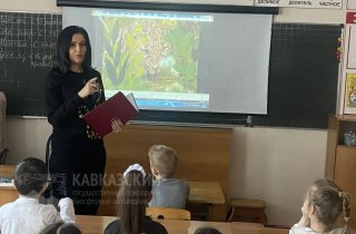 День дикой природы как один из главных экологических праздников отметили в школах и детских садах города Майкопа.